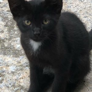 Meet your Posher, Janice